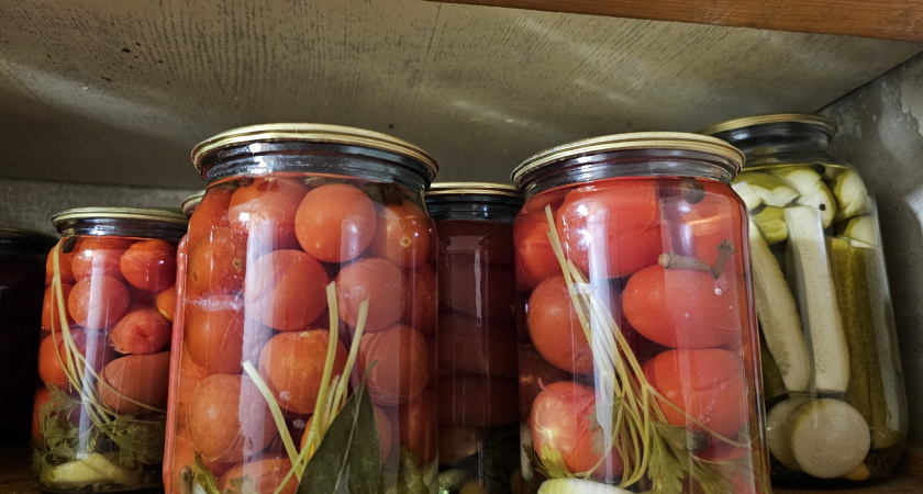 Вы что, все миллионеры: друг из Америки прожил неделю в российской глубинке и обалдел