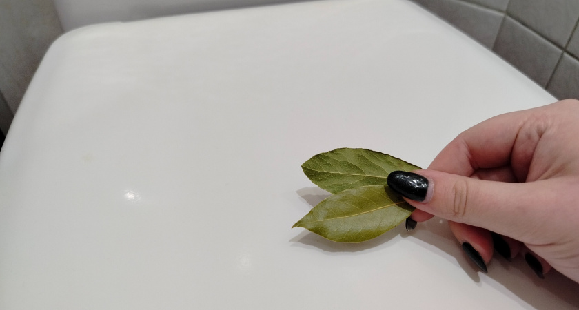 Теперь я покупаю лавровый лист упаковками, но не для готовки - соседка дала крутой совет