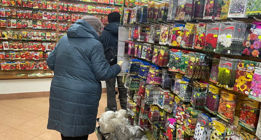 Томаты-богатыри для холодного лета: эти проверенные сорта, которые дадут урожай в любую погоду