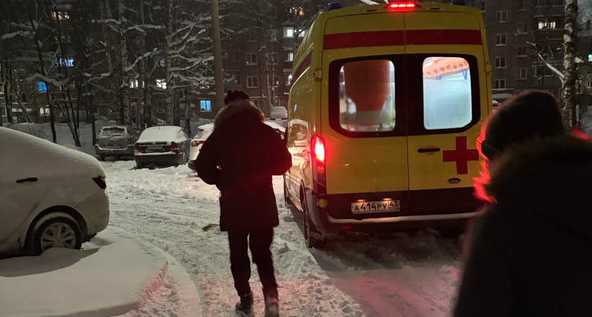 В Малмыжском районе рабочего насмерть придавило деревом