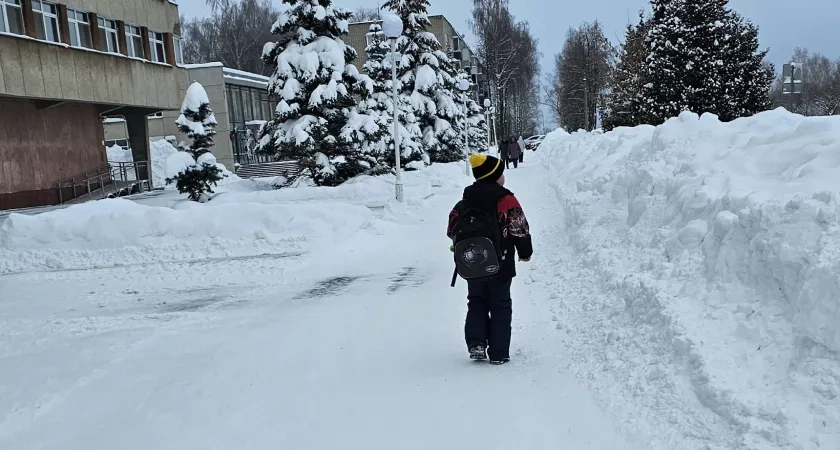 Смертельный пожар, мошенничество и прогноз погоды: что читали чепчане 24 января