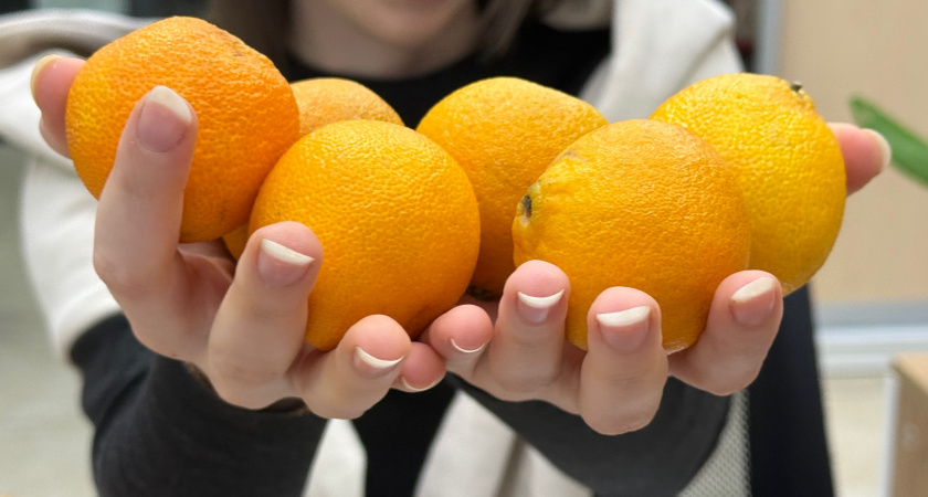 Хитрые продавцы в январе выбирают мандарины себе домой только так: запоминайте 3 приема