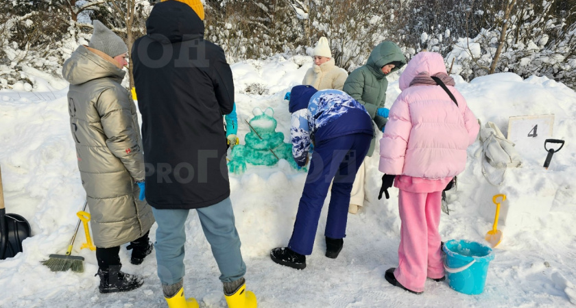Царевна-лягушка, символ 2026 года и волшебная птица: чепчане слепили снежные фигуры 