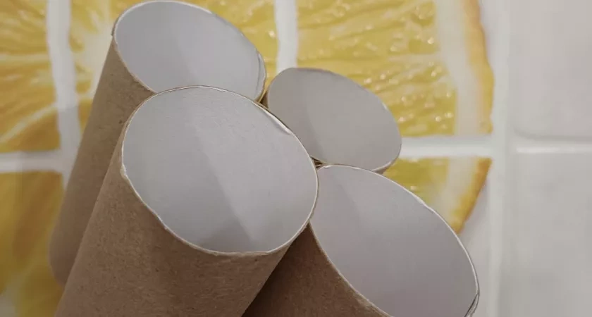 Втулки туалетной бумаги дороже золота: никогда их не выбрасываю — очень полезны дома и на даче