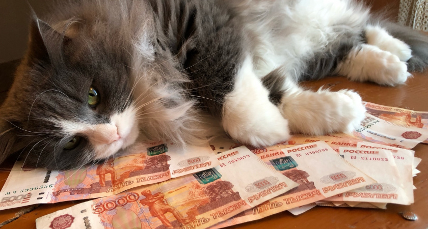 Получили деньги и исчезли: что стало с семьей из Уфы, выигравшей миллион в лотерее