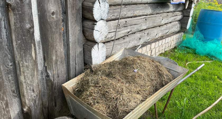 О чем врут деревенские блогеры: почему умирает село и из-за чего молодёжь бежит в город