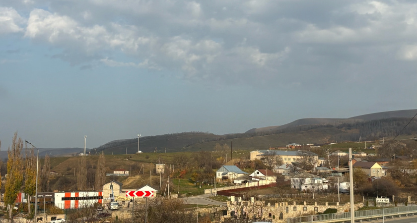 Переехали в Кисловодск, но жить здесь не смогли: при первой возможности сбежали обратно