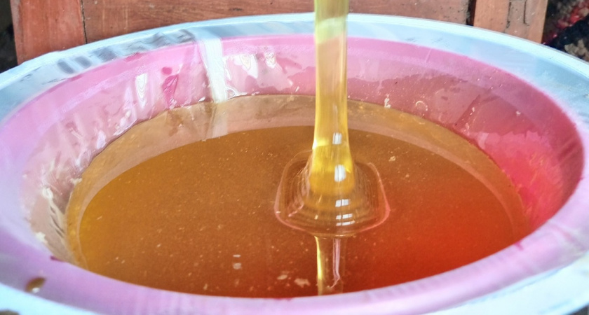 В каком месте мед портится быстрее всего - запомните раз и навсегда. Здесь его нельзя хранить