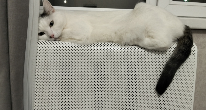 Мой способ отопить загородный дом электричеством стоит копейки - сделал это своими руками и головой