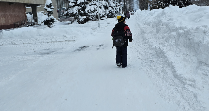 Кировскую область накроют затяжные снегопады из-за южного циклона
