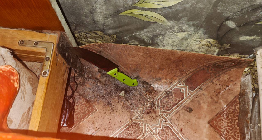 В Оричах вынесут приговор женщине по делу о кровавой расправе над сожителем