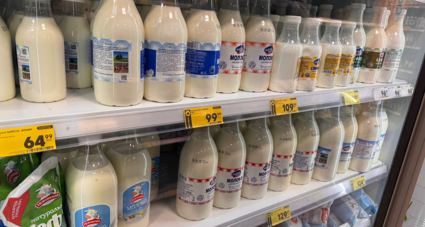 Как и сколько хранить молоко и кисломолочные продукты: стоит знать каждой хозяйке