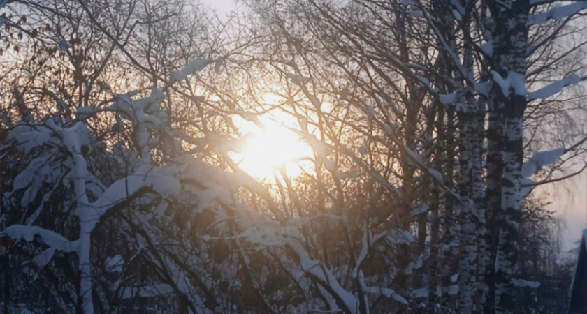 Метель, снежные заносы и сильный снег: стал известен прогноз погоды на 1 февраля