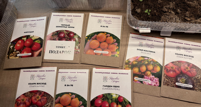 Простой совет деревенской бабушки - когда сеять семена на рассаду, всегда так делаю