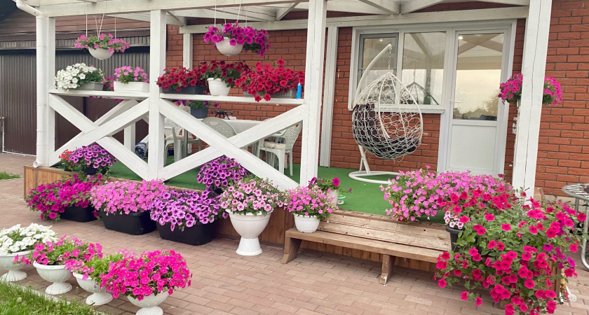 Марафон красоты на вашей даче: 7 удивительных многолетников, которые цветут всё лето - и даже дольше