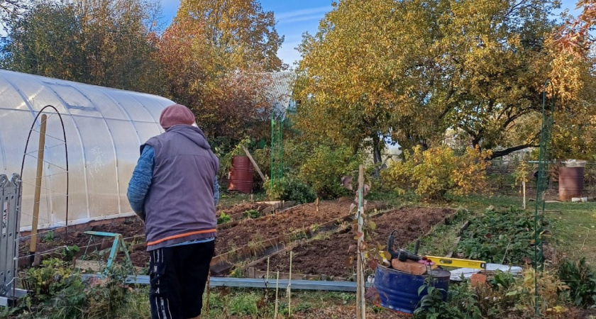Никогда не сажайте в огороде щавель: все дачники начали от него избавляться - и вот почему