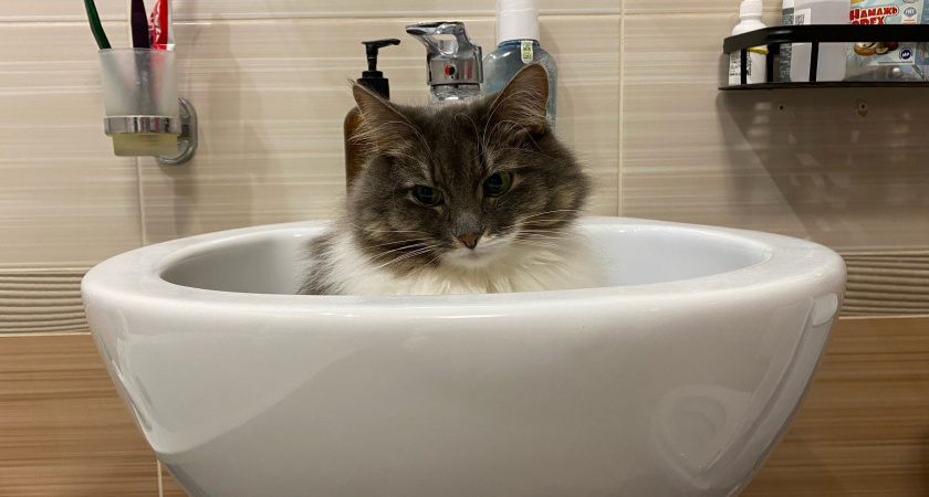 Сотни жителей Кирово-Чепецка вновь остались без воды из-за ремонта водовода