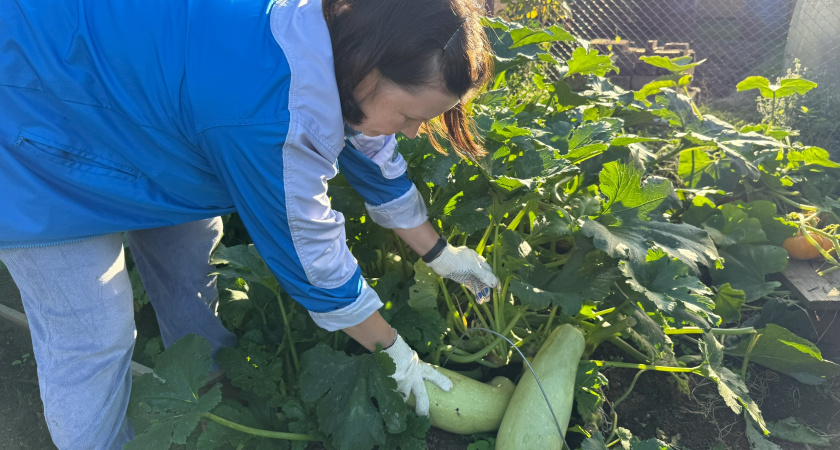 Японский метод для маленьких участков: как на 6 сотках за счет ярусных грядок и вертикальных посадок получать урожай в 3 раза больше