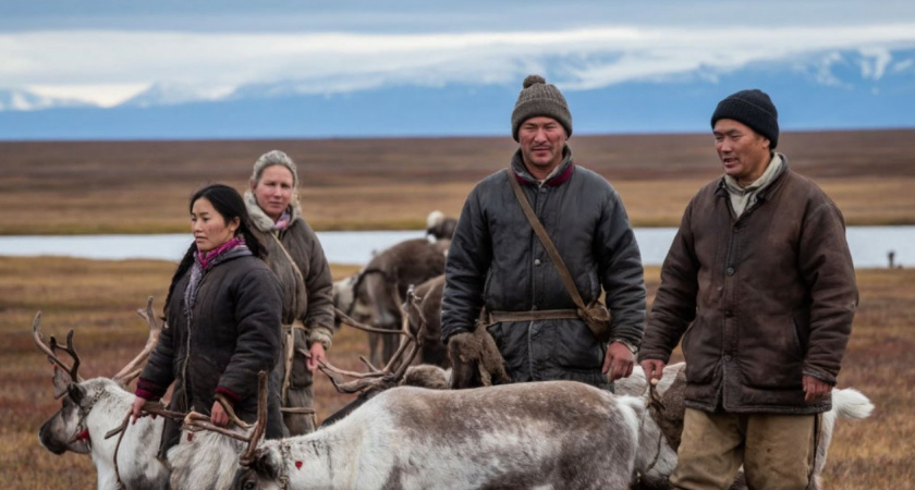 Живут в тундре без отопления, дорог и связи, но у каждого по квартире. Почему оленеводы отказываются от цивилизации