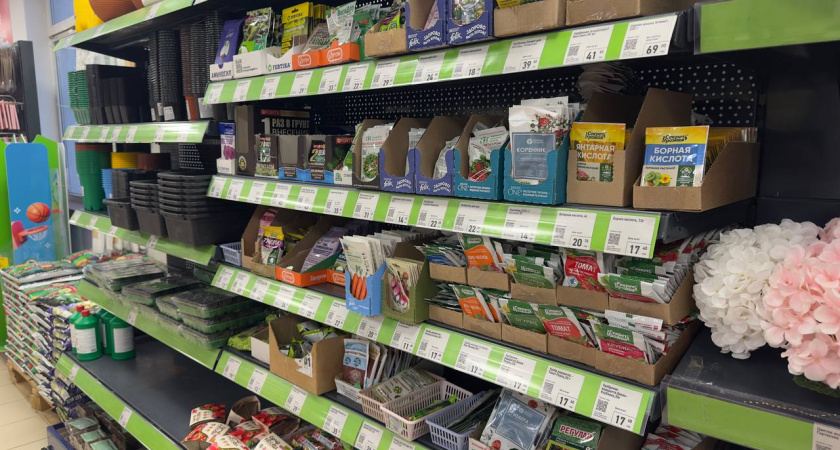 Пока коллекционеры дерутся, я покупаю тут: где реально выгоднее брать семена — сравнение трех источников