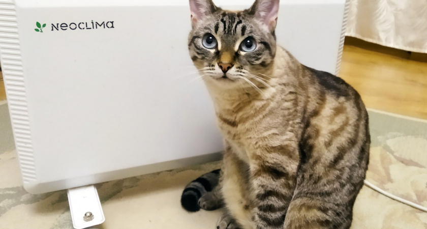 У соседа счёт за отопление 18 000 руб, у меня 4 000: дома одинаковые, площадь одна - вот в чем мой секрет