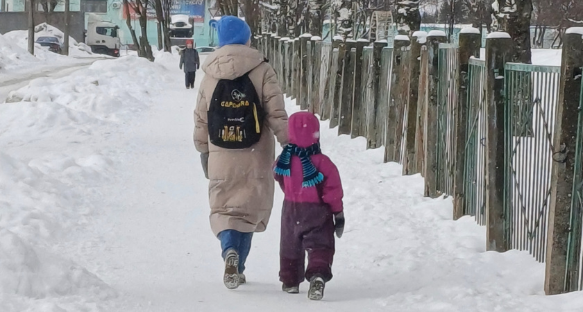 В Кирове девочка отдала незнакомцу деньги мамы, спасая ее от суда за "госизмену"
