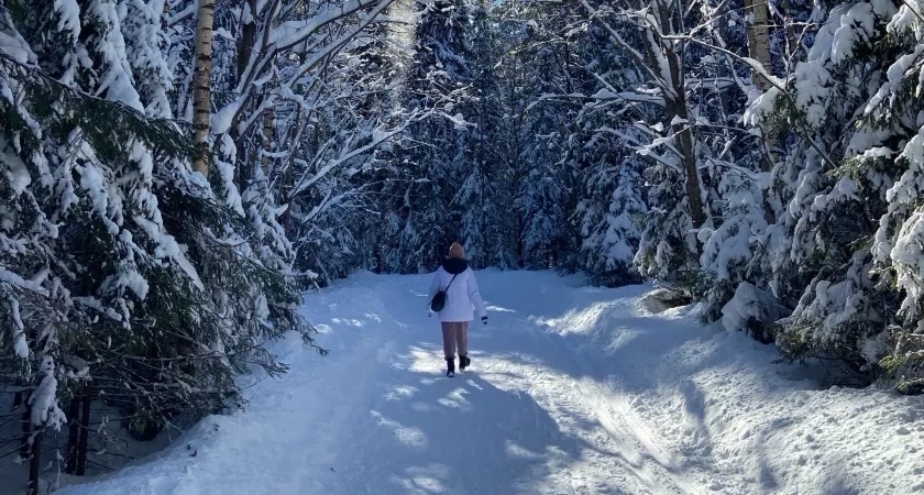 Партия солода в 436 тонн поступила в Кировскую область из Беларуси и Подмосковья