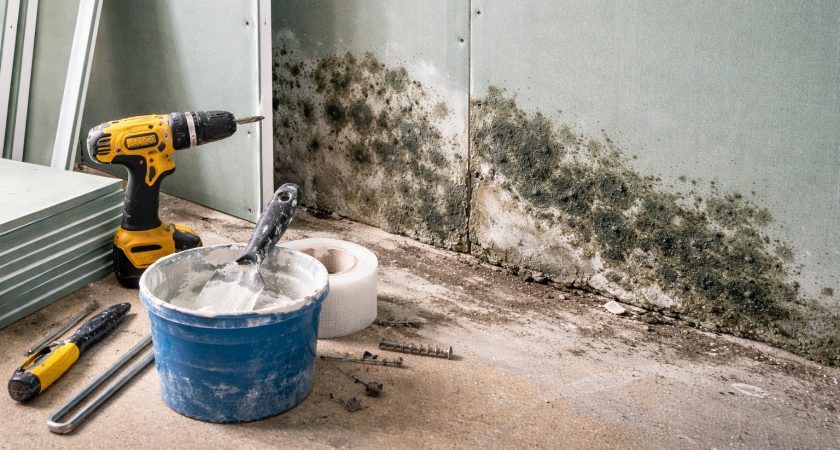 Ставят почти везде, но зря: когда гипсокартон может дать трещины и сырость - советы экспертов