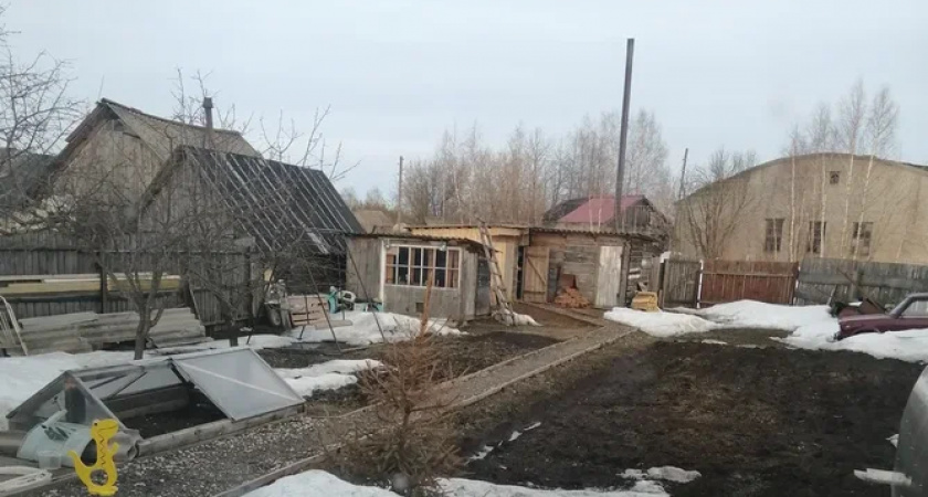 Пожили неделю в деревне и быстро все поняли: там никто больше не хочет жить хозяйством