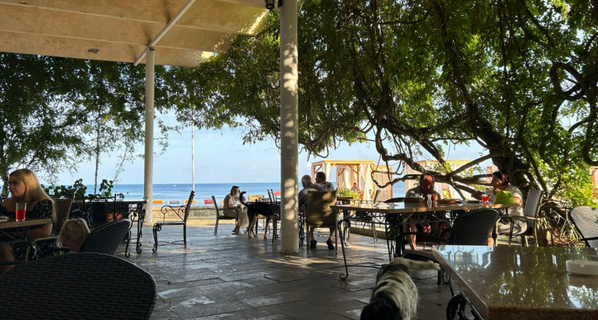 Даже не думайте покупать: 6 продуктов, которые нельзя есть в Абхазии - иначе быть беде