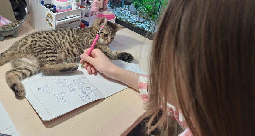 Признак глупости: в этом слове нет буквы «д», но каждый второй ее упорно туда вставляет - а вы тоже так делаете?