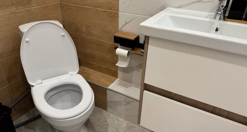 1 шт. в воду – и унитаз станет белее снега: забыла про желтизну и ржавчину – светится даже в темноте