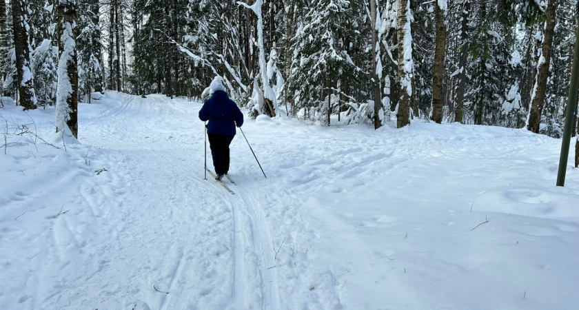 Стало известно, какая погода ждет чепчан 13 февраля