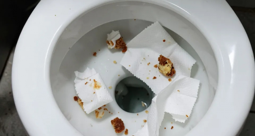 Почему нельзя смывать туалетную бумагу в унитаз: жаль, что узнал слишком поздно