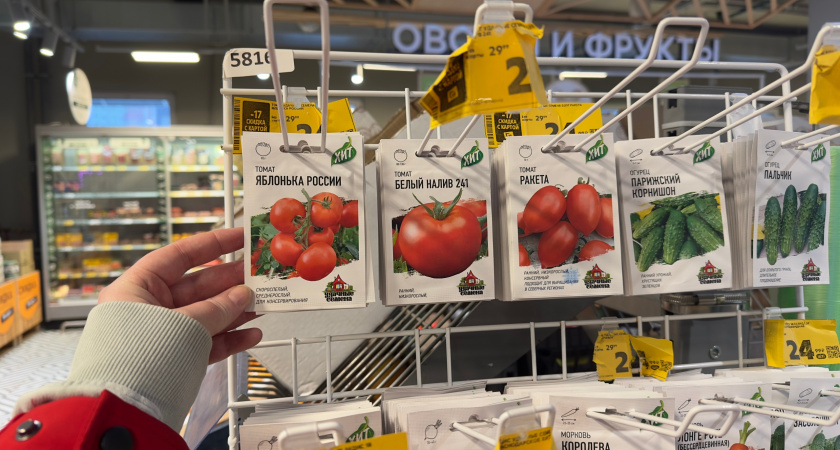 Какие модные сорта пойдут вон из теплицы в 2026 году: опыт дачницы показывает, что экзотика не всегда приносит урожай