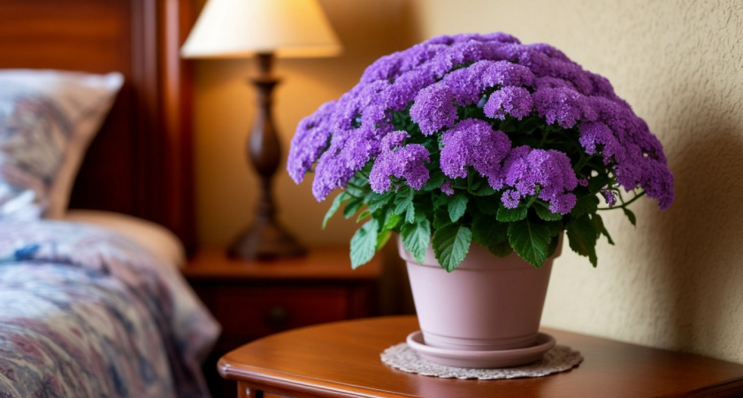 Цветок, который пахнет ванилью: садоводы сносят полки ради растения-ароматизатора