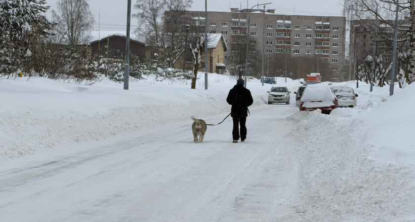 Метеорологи прогнозируют продолжение снегопадов в Кировской области