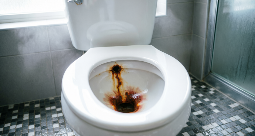 Больше не придется чистить унитаз от ржавых подтеков и налета: это надо сделать перед тем, как лечь спать