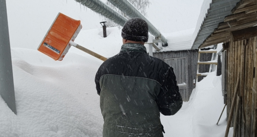 Купил дом в деревне, спустя год готов отдать его даром: честный отзыв о том, как разрушились розовые очки