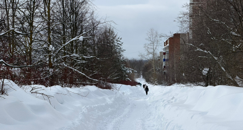 Прокуратура Кировской области объявила о больших проверках управляющих компаний