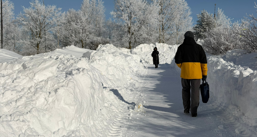 Морозы до -20 градусов и туман: синоптики рассказали, какая погода будет в Кирово-Чепецке 22 февраля