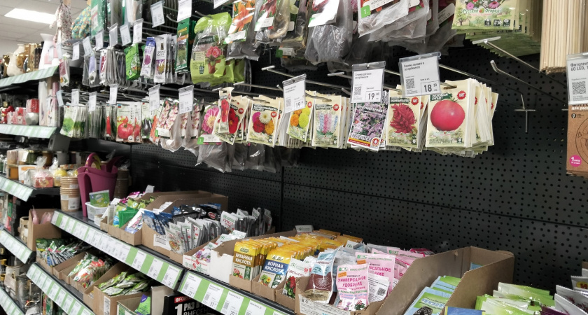 Теперь все семена сею хитрым способом – на бумагу: не надо замачивать