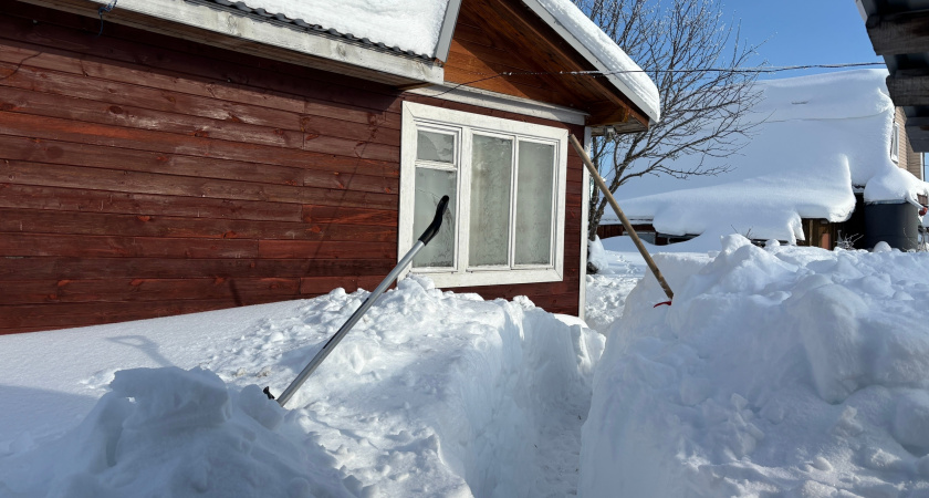 Почему 70% пенсионеров весной продают дачи после 65 лет и жалеют об этом