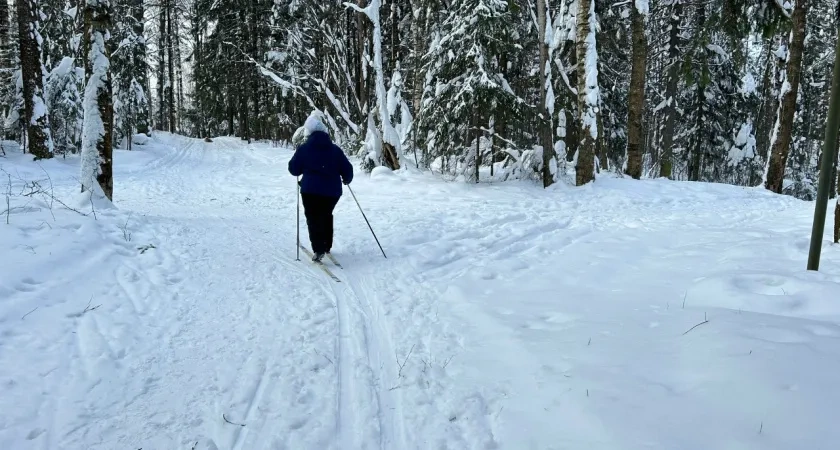 Стало известно, какая погода ждет чепчан 27 февраля