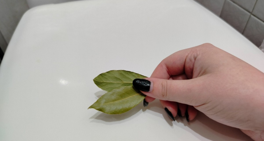 Уходя из дома, всегда кладу лавровый лист в унитаз - подруга-горничная дала интересный совет. Вот что изменилось