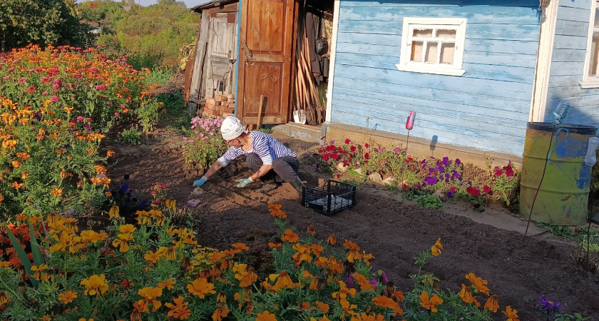 «Вы вообще понимаете, что вы миллионеры?»: японец потерял дар речи на обычной российской даче - вот что его поразило