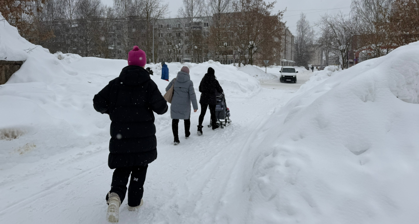 Плюсовая температура и снегопад: какую погоду обещают в Кирово-Чепецке в первые числа марта