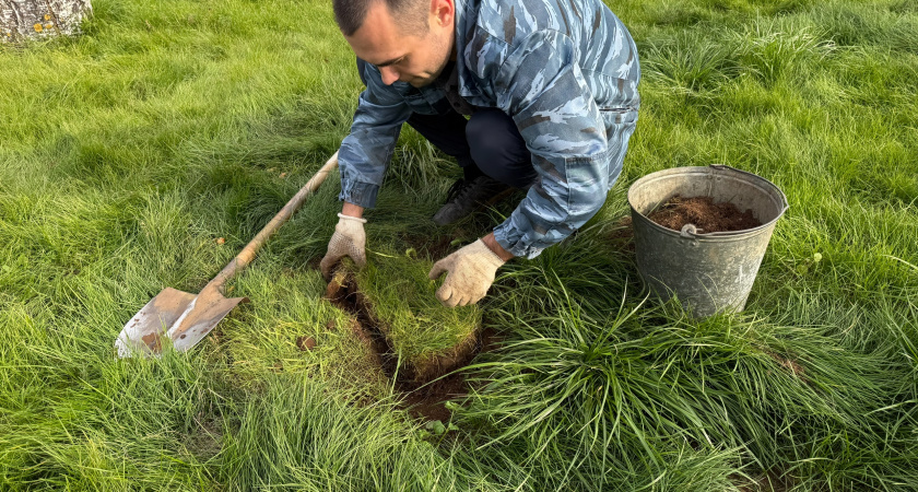 Постелил у дома газон - сделал большую глупость: почему ландшафтные дизайнеры не делают газоны на своих участках
