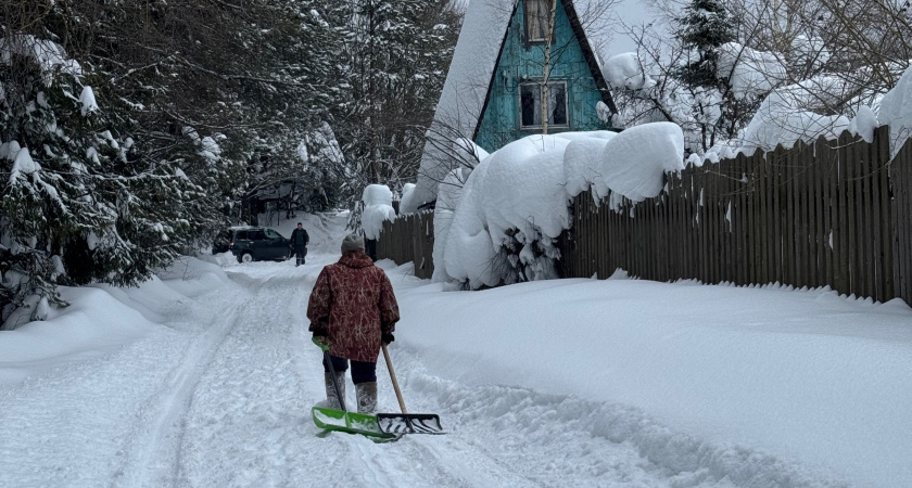 В Кирово-Чепецком районе за сутки нашли охотника-нелегала, застрелившего кабана
