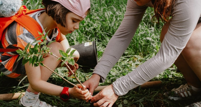 Какие деревья наши бабушки сажали как мощные обереги от зла: приметы, о которых молчат дизайнеры, но знают старики
